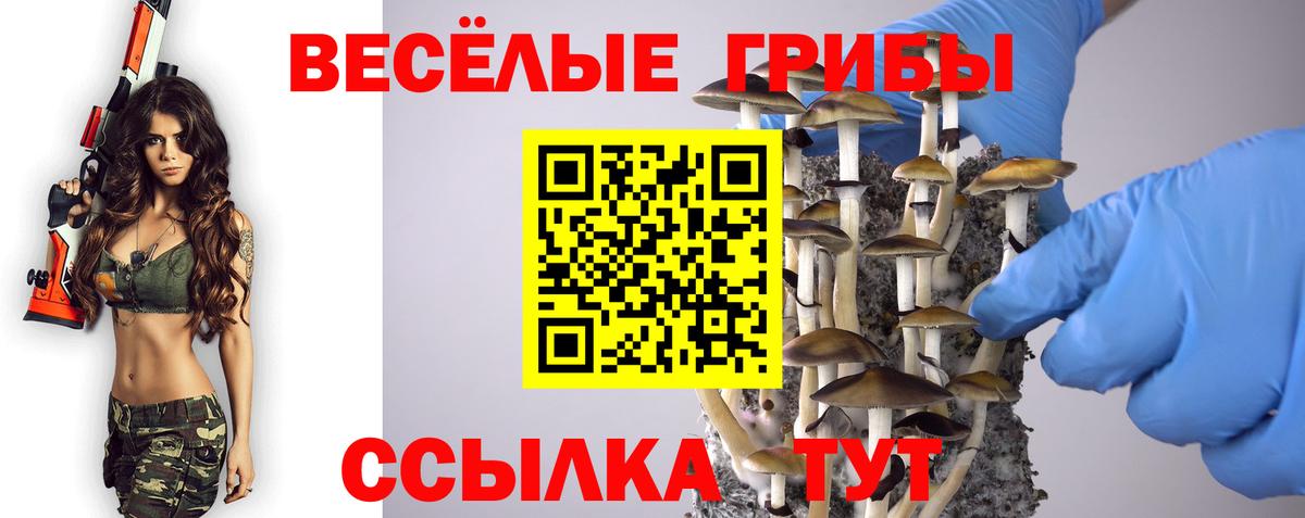Можайск  Галлюциногенные грибы Psilocybe  Вход с VPN  Галлюциногенные грибы GOLDEN TEACHER 