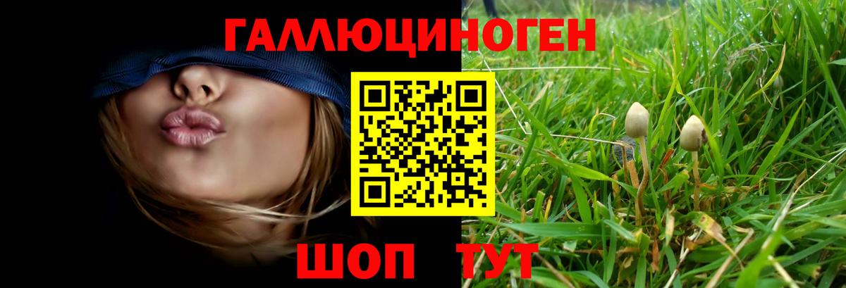 Галлюциногенные грибы Cubensis Можайск